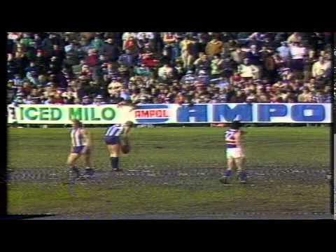 FNWB.com.au - 1980: Round 15, North Melbourne vs Footscray