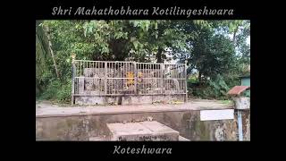 Temple video