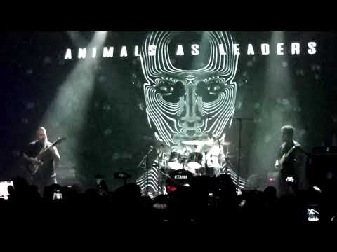 Animals as Leaders & S.Golovin 07/08/19