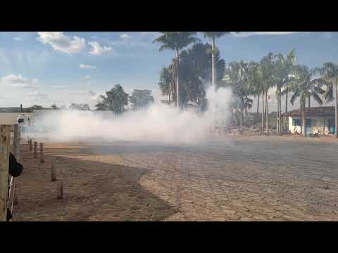 kakareko voltando 16/05/21 #marajo alaelder