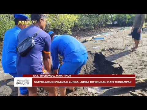 PRESISI UPDATE: SATPOLAIRUD POLRES SITUBONDO EVAKUASI LUMBA-LUMBA MATI TERDAMPAR 10/01/25 09.00
