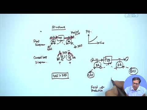 System Dynamics Example