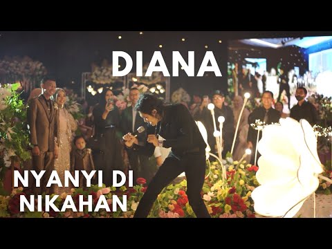 DIANA - ZerosiX park | LIVE AT Wedding Surprise ! 2022
