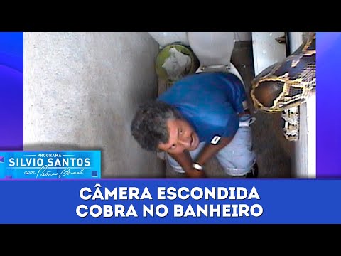 Cobra no Banheiro | Câmeras Escondidas (21/07/23)