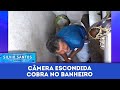 Snake In The Bathroom Hidden Cameras July 21 2023