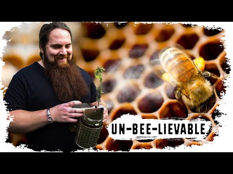 If You Like BEES - WATCH THIS 🐝 // S05E08