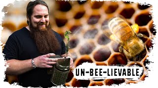 If You Like BEES - WATCH THIS 🐝 // S05E08