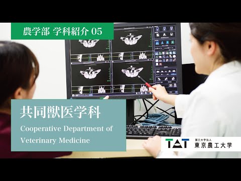 東京農工大学農学部　学科紹介05【共同獣医学科】