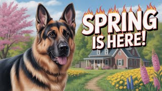 Ranger & The Homestead Guardians, Spring Is Coming
