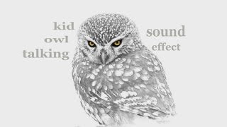 The Animal Sounds: Kid Owl Talking - Sound Effect - Animation