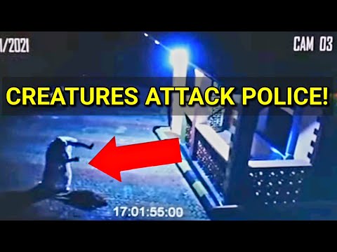 Goblins Are Attacking Police In Zimbabwe!!