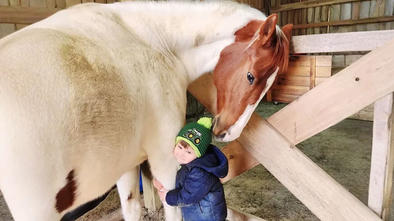 This Giant Horse is Excited to Meet His New Little Friend