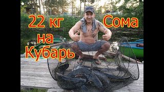 Как поймать сома на вершу