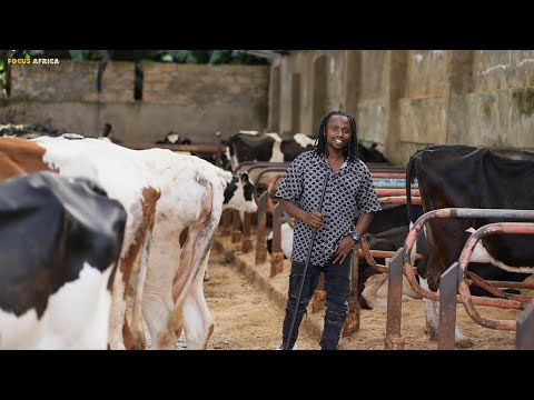 LET'S LEARN THE ART OF DAIRY FARMING