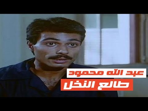 دوت مصر عبد الله محمود.. طالع النخل