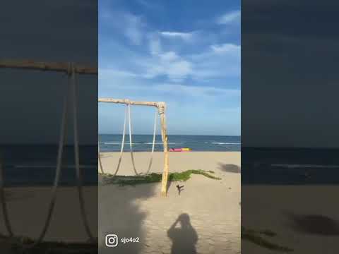 Beach lovers #youtubeshorts #shorts #thailand #beachesnresorts #touristspot