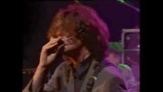 The Icicle Works, live in 1984 - As The Dragonfly Flies (Ian McNabb)