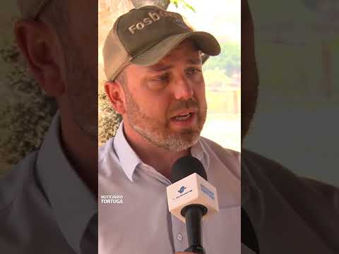 Pecuaristas investem na recria e engorda no Noroeste de São Paulo | Noticiário Tortuga