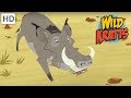 Wild Kratts - Showcasing Beautiful Animals # | Kids Videos