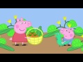 Peppa Pig Lunch 34 Episode 1 Season HD