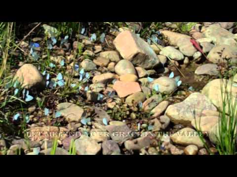 Day 5 - In the Valley