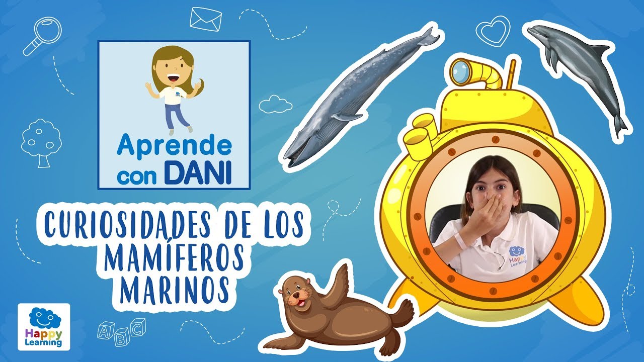 Curiosidades de los mamíferos marinos | Aprende con Dani