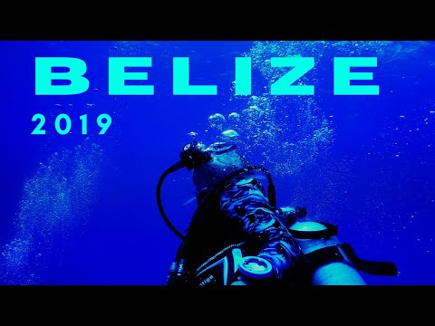 Alaina Lindsay and SEAAL VISUALS