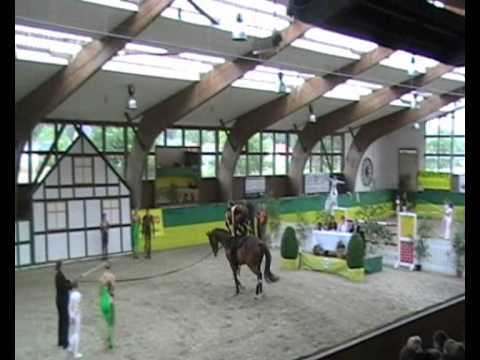 Wittegheit 1 CVI Krumke 2011 kür zondag