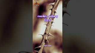 Download lagu Tamil Motivation Dialogue Status/Life Motivation Dialogue Status #motivation#status#tamilmotivation mp3 Download lagu Tamil Motivation Dialogue Status/Life Motivation Dialogue Status #motivation#status#tamilmotivation mp3