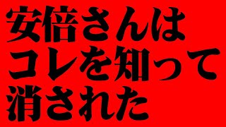 【ホリエモン】※安倍さんはこの“正体”に気づいて消されたんですよ…私が逮捕された理由を安倍さんから聞いてゾッとしました