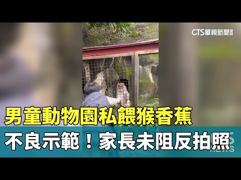 不良示範！　男童動物園私餵猴香蕉　家長未阻反拍照