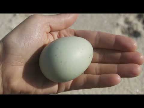 Këndvështrim Islam - A ekziston Zoti?