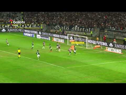 PAVON HUMILHA GALO 1 A 0 PALMEIRAS