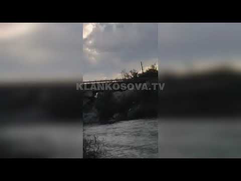 Një lopë e ngordhur hudhet në lumin Drini i Bardhë - 06.09.2021 - Klan Kosova