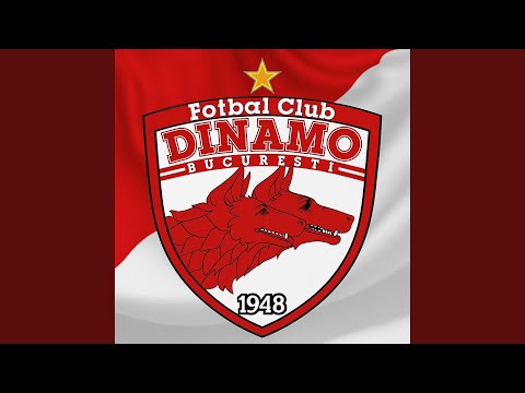 Dinamo B.