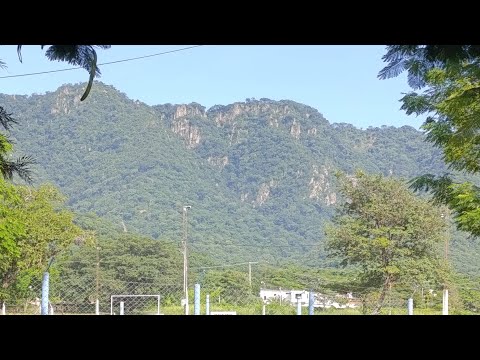 Camino a Salvador Mazza (Salta)