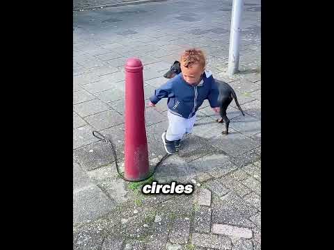 When His Rope Dropped, This Boy Stopped