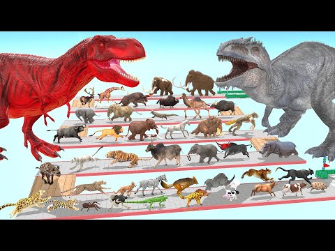 Ultimate Battle 44 Wild Animals vs GIGA T-REX Dinosaur Death Run Zigzag Down Course! from Outside