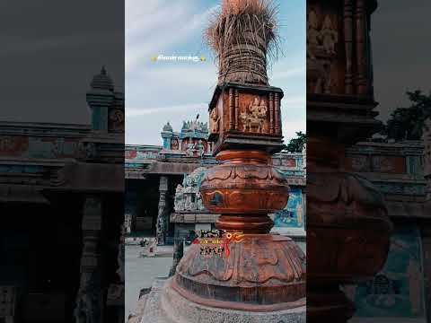 சிவன் வாக்கு ஓம் நமசிவாய om namahshivay KNSC FAMILY 🙏🌸🌺🙇🛐📿💯#lordshiva #viral #shorts