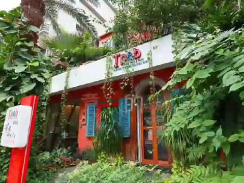 Tp＆b 天然有機精油芳療SPA 【部落客體驗推薦】 EP08｜高雄spa 精油按摩 芳療 高雄spa推薦 feat.部落客【媽媽我想嫁台南】 來場貴婦級的享受