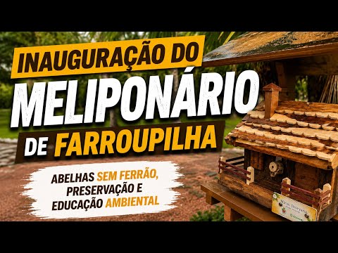  Conheça o Novo Meliponário de Farroupilha | Abelhas Sem Ferrão e Preservação Ambiental
