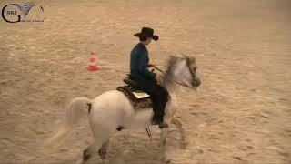 preview picture of video 'VIII Mistrzostwa Dolnego Śląska w jeździe western - Western Riding Open'