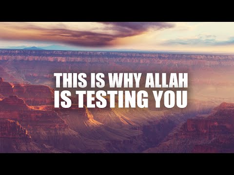 THIS IS WHY ALLAH IS ALWAYS TESTING YOU