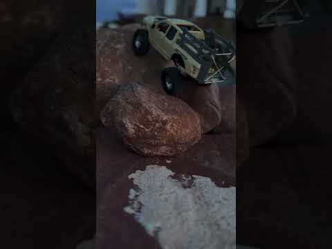 What da Dino doin?🦖