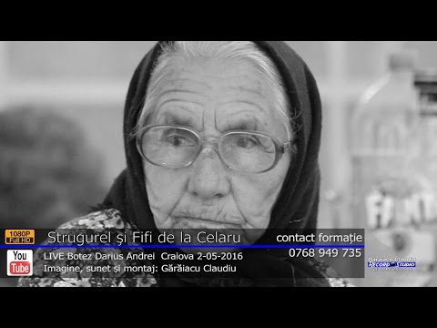 FIFI de la CELARU  -  Cade ploaia pe-nserate LIVE | Botez Darius Andrei | ASCULTARE