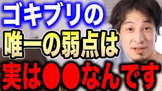 【ひろゆき】ゴキブリって実は●●が弱点なんですよね。暖かくなってくるとGも動き出すので対策方法を伝授します【切り抜き 論破 害虫駆除業者 ブラックキャップ バルサン 閲覧注意 hiroyuki】