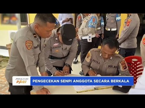 POLRES MIMIKA PERIKSA SENJATA API SECARA BERKALA