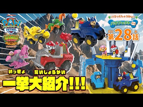 パウ・パトロール | パウフェクトTV グングン走る！ダイノビークルをパウっとしょうかい！| Paw Patrol | おもちゃ