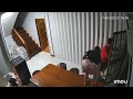 Aggressive Pet Demon Cat Pounces On Terrified Owner