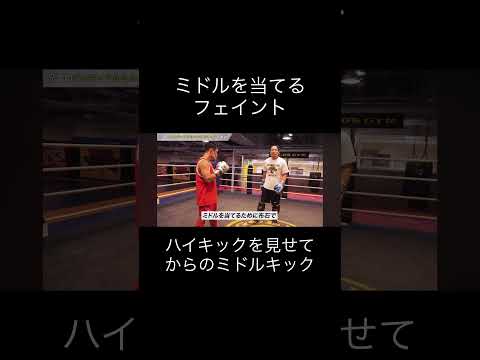 ミドルを当てるフェイント#キックボクシング #格闘技 #rizin #ミット打ち #ブレイキングダウン #ミドルキック #K-1